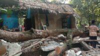 Pohon Tumbang Hancurkan Rumah Warga di Tigaraksa Tangerang
