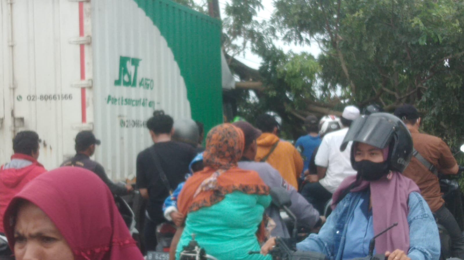 Diduga Tertabrak Mobil J&T Cargo, Pohon di Jalan Raya Sepatan Tumbang Tutupi Jalan