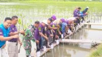 Peduli Lingkungan, PWI Kabupaten Tangerang dan DLHK Tanam Mangrove di Mauk